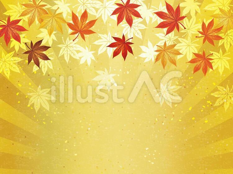 射线照相枫叶枫叶背景日本纸02, 秋, 冬季, 效果, JPG 和 AI
